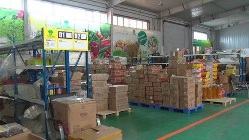 奇臺(tái)縣政協(xié)視察電子商務(wù)工作，推動(dòng)服務(wù)升級(jí)賦能縣域發(fā)展